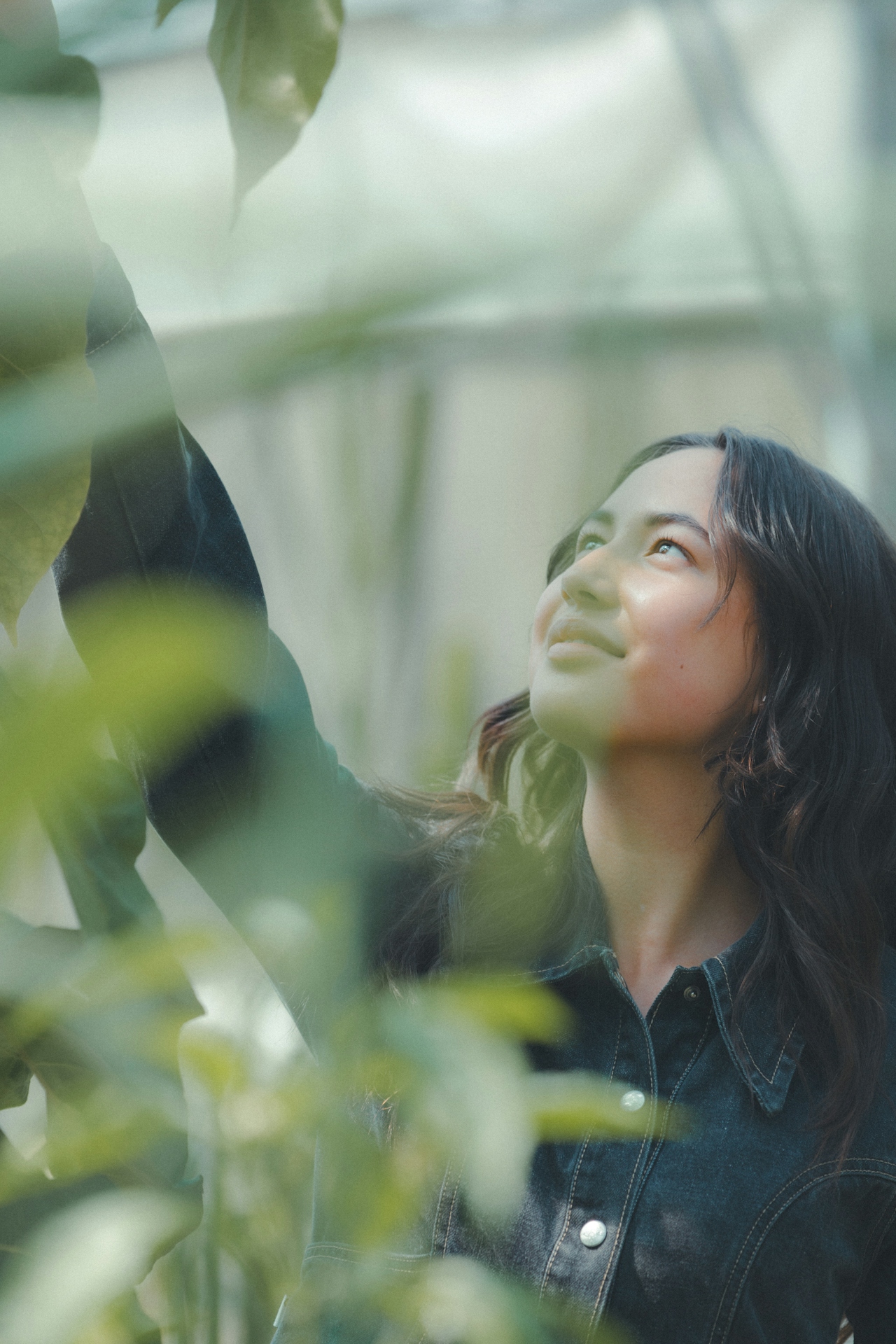 Patient amongst greenhouse foliage in soft daylight